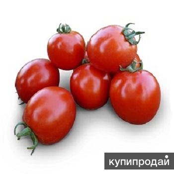 Семена томата Асвон F1 фирмы Китано