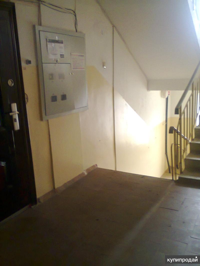 квартира на сутки. суточная квартира. ланское шоссе 71. квартира в питере. вирты 116 сдам.