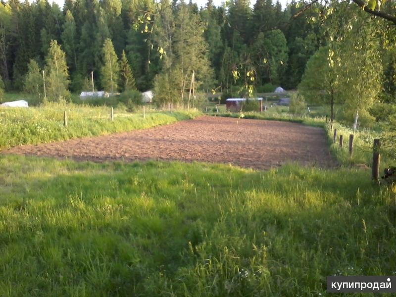 Купить Участок В Спб Дешево