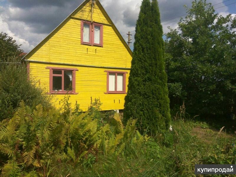 Снт мечта. Савинки Лосино-Петровский. СНТ Савинки. СНТ Савинки г.Лосино-Петровский. Савинки Щелковский район.