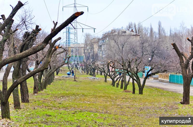 Кронирование тополей