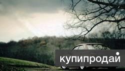 Опытный автоюрист защищает права водителей в ГИБДД