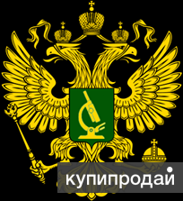 Экспертиза телефона, мебели, залития, т.д.