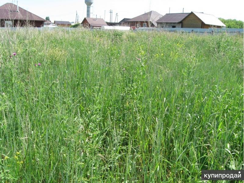 Земельные участки красноярск. Село Арей Емельяновский район озеро. П Арей участки в начале деревне. П. Арей продажа земельных участков под ИЖС. Купить участок п Арей Емельяновского района.