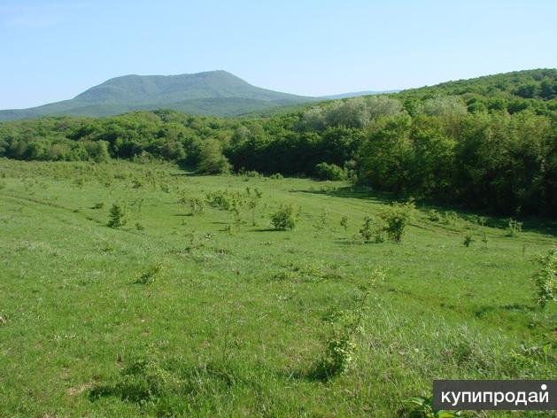 Саратовская краснодарский край. Азовская Краснодарский край. Станица Азовская. Азовская Северский район. Азовская Северского района Краснодарского края Собер.