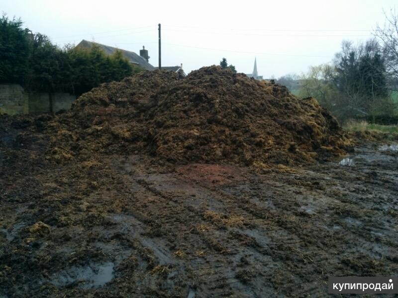 Manure. Навоз коровий. Куча навоза. Гора навоза. Огромная куча навоза.