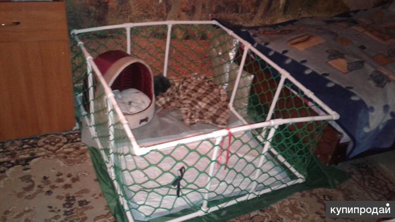Где Купить Манеж Для Собаки