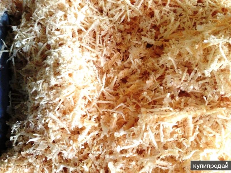 Стружка древесная. Сосновая стружка. Влажные опилки. Древесные опилки. Древесина опилки.