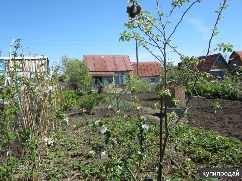 Снт Обь 1 Барнаул Купить Дачу