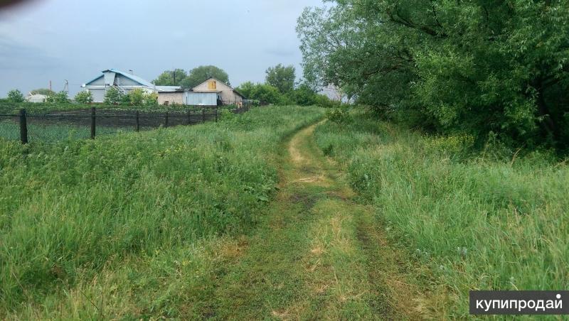 Село даниловка фото