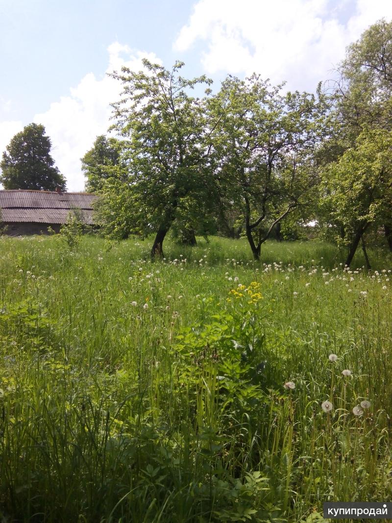 Купить Участок В Бабынинском Районе Калужской Области