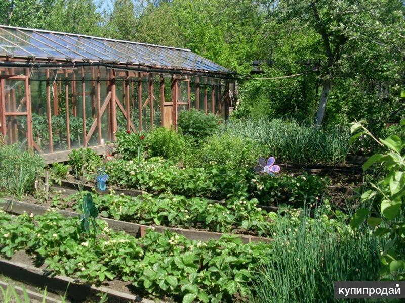 Иркутск Снт Садовод Купить Дом