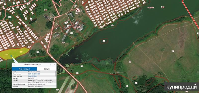 Д инютино нижегородская область карта