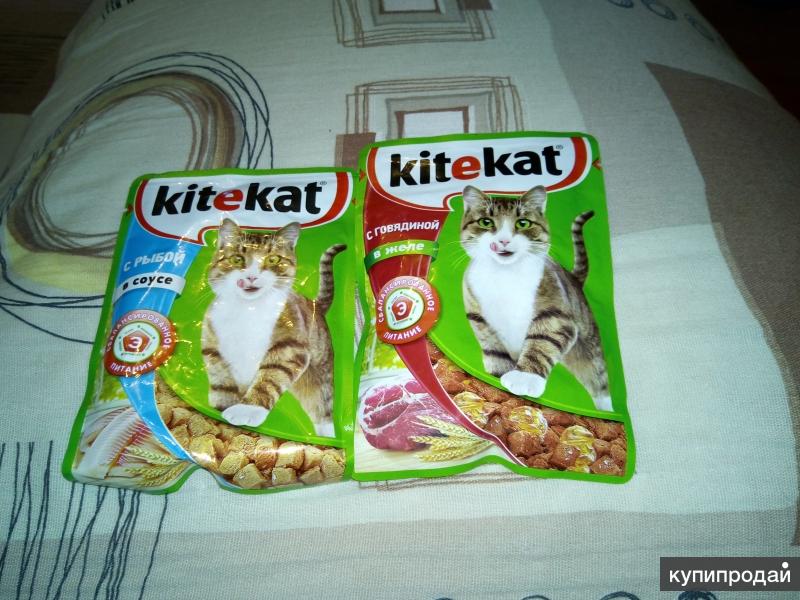 Kitekat с рыбой в соусе