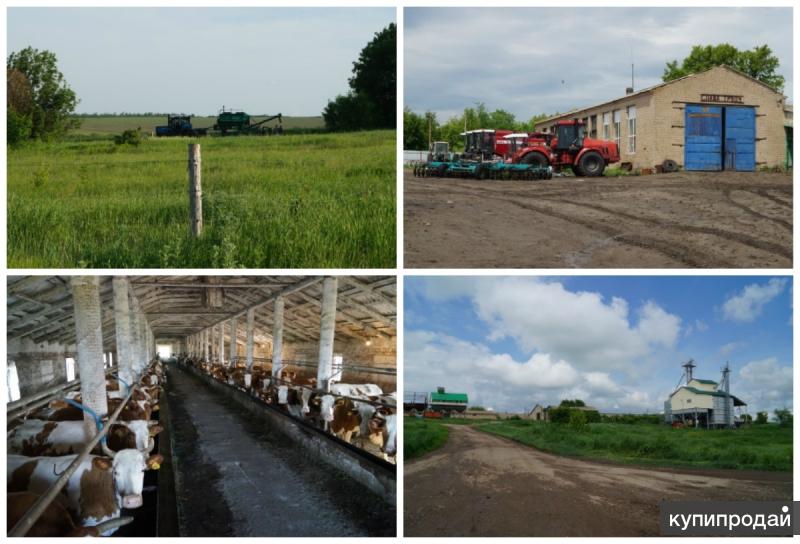 Сельхоз Продажа Ростовская Область
