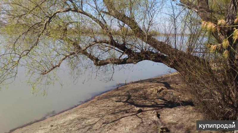 Берег кубани краснодар. Тополек Краснодарский край. Краснодар Кервина берегу Кубани. Гулькевичи с берега реки Кубань.