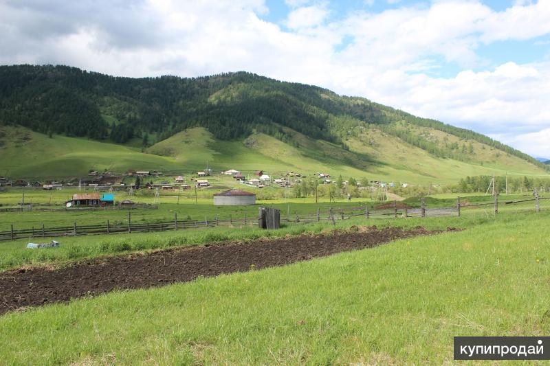 Ильинка республика алтай. Село Каспа Шебалинский район Республика Алтай. Кумалыр Республика Алтай. Дьектиек Шебалинский район Республика Алтай. Село верх-Апшуяхта Шебалинского района Республики Алтай.