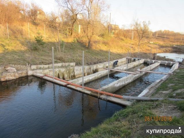 Пруд байкал белгород фото