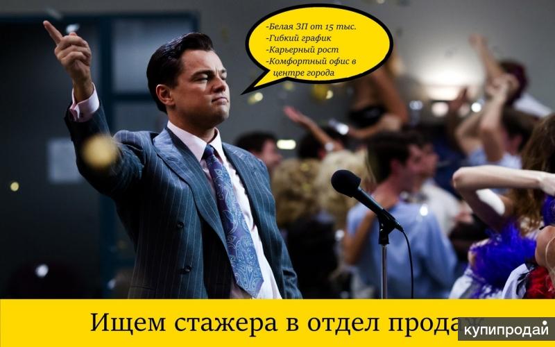 Возьму стажера. Стажер в отдел продаж. Фото стажировка в отдел продаж. Стажёр в отдел продаж это кто. Стажер в отдел продаж банк.