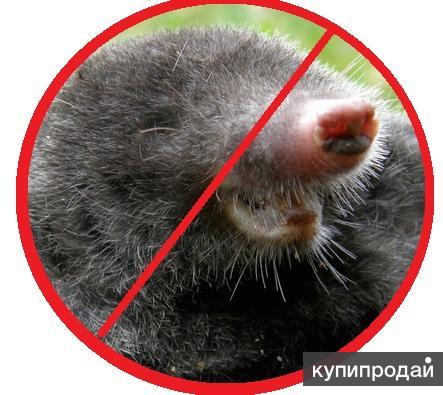Организация по борьбе с кротами Одинцово. Стоимость