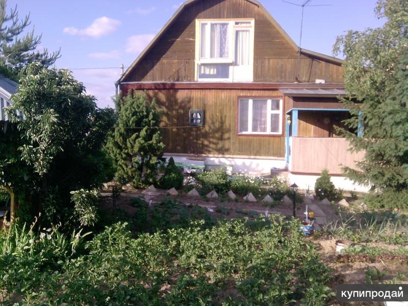 Сдам дачу по Фряновскому шоссе, д Мишнево на 3-5 мес.