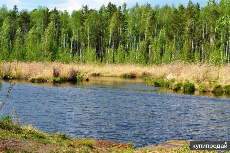 Участок в Ольховке 4,77 Га