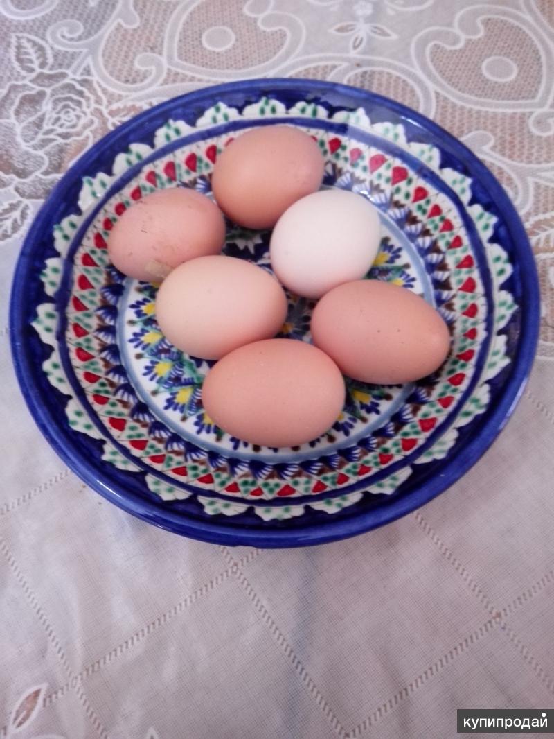 Куплю яйцо астрахань. Яйцо на дачу цена. Купить домашние яйца в Астрахани. Астрахань цены на яйца.