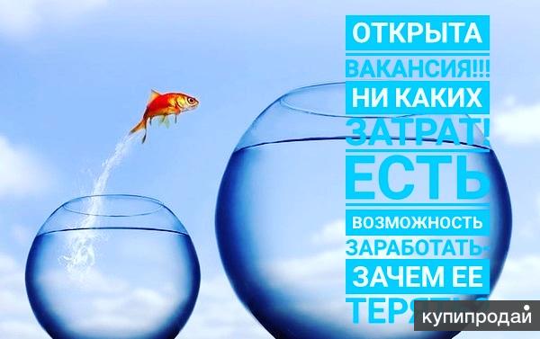 Работа на дому