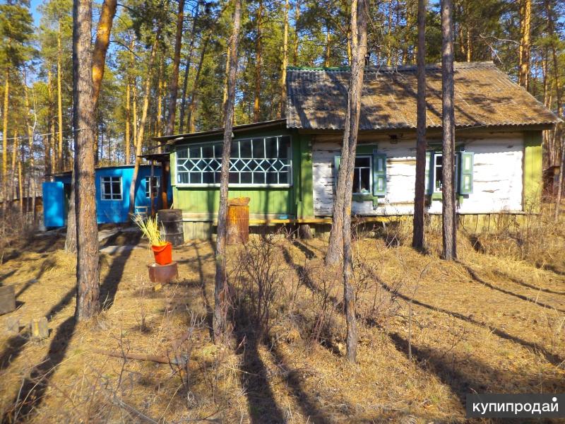 Куплю Дом В Якутске Фото Цена