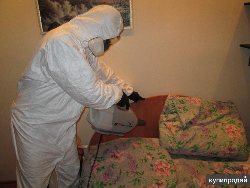 Дезинфекция насекомых паром Вязники