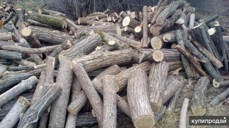 Купить дрова топки. Дрова метровки. Молдова дрова. Краснодарская Лесопилка. Фото дрова метровка.