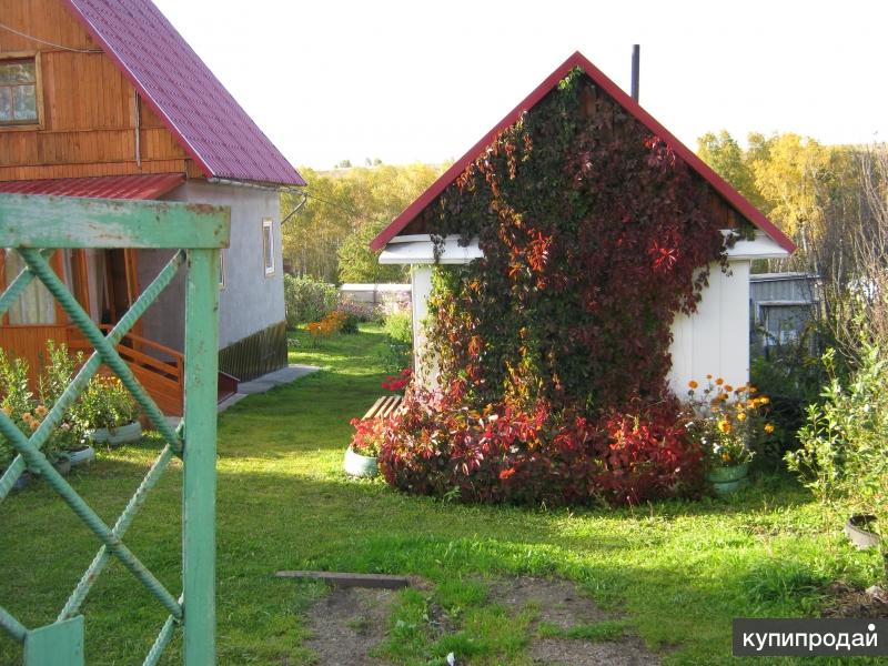 Купить Дачу В Полоцке Свежие Объявления