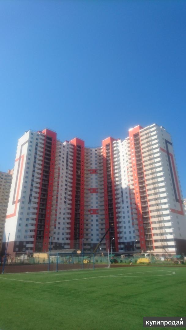 Новгородский 10 Шушары Купить Квартиру