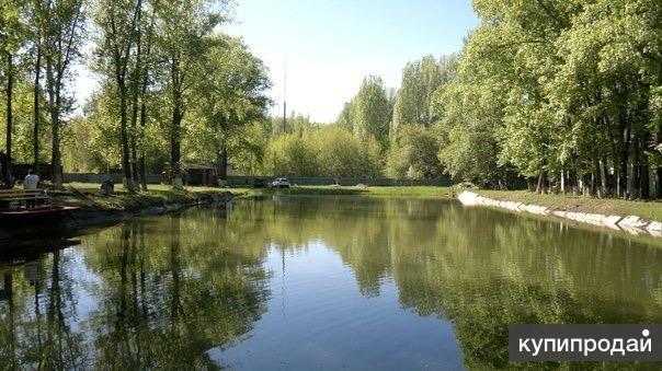 Загородный клуб отдыха-платная рыбалка, рыбоводство