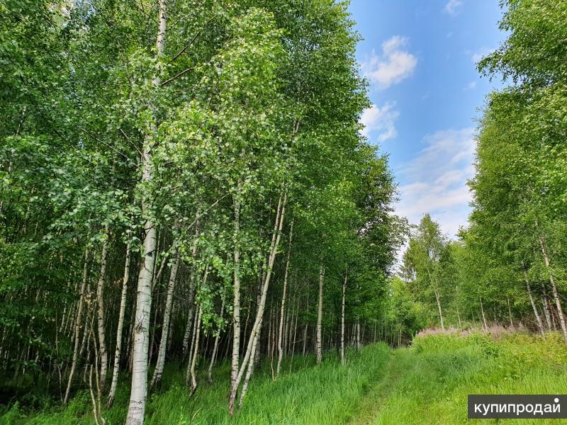 Купить Участок В Лукерьино Коломенского Района