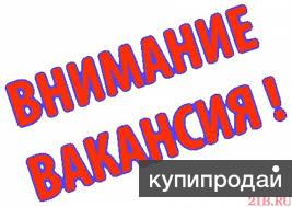 Для удалённой работы требуется менеджер интернет-проекта