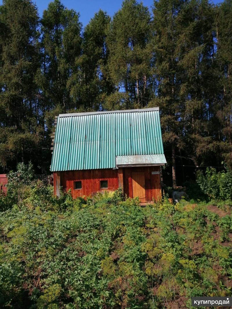 Снт Новосибирск Купить