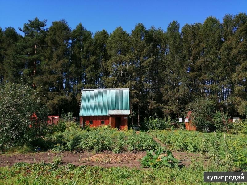 Продам снт. Садовое товарищество пион. Новосибирск СНТ пион. Садовый участок СНТ пион. Дача СНТ пион.