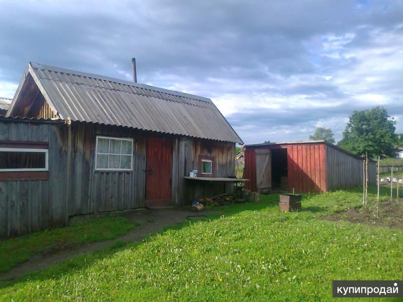 Барахолка усть пристань. Село Усть-Пристань Алтайский край. Село Брусенцево Алтайский край. Усть Чарышская Пристань.