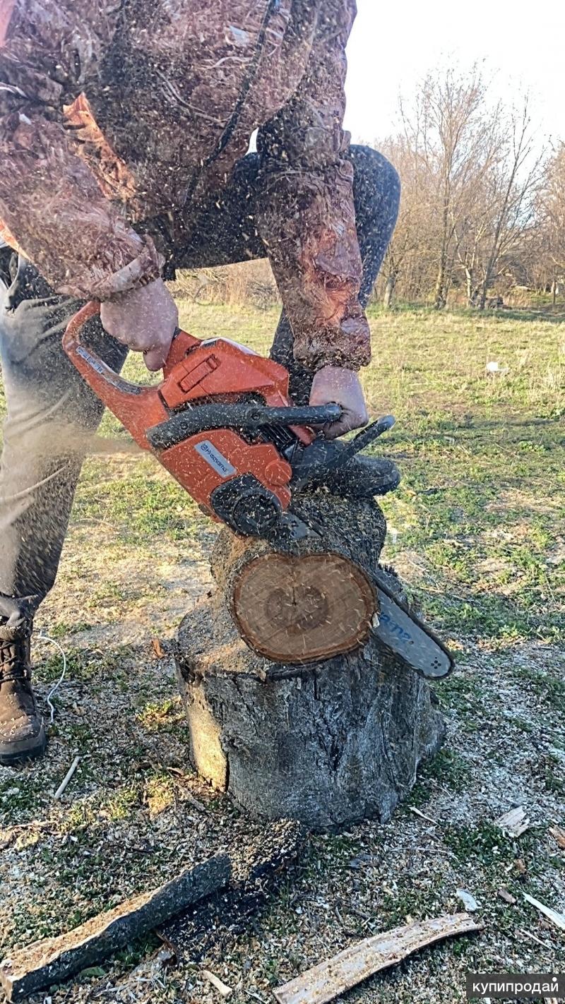 Валка дерева на участке. Спил деревьев любой сложности. Спил деревьев в ростове на дону недорого. Спил деревьев альпинизм. Fama обрезчик деревьев.
