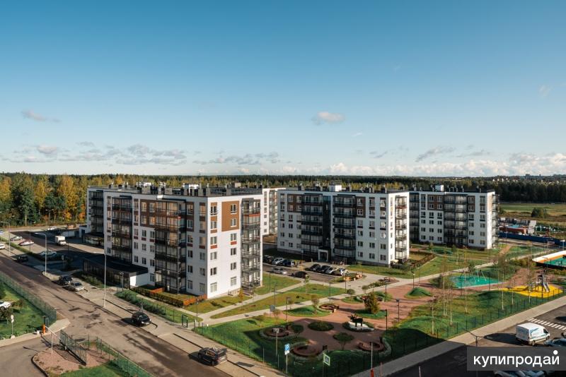 Поселок шинников. Поселок шинников. Шинник омск баскетбол. Фотобус красноярский край. Поселок шинников.