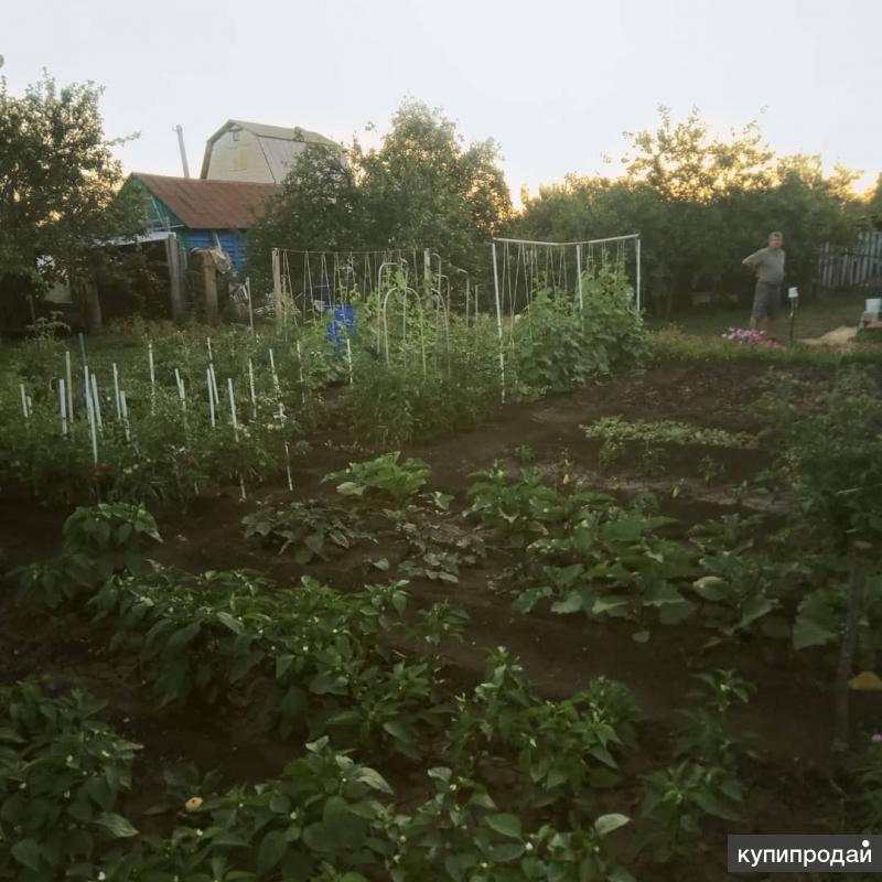 Купить Дачу Самарская Лука