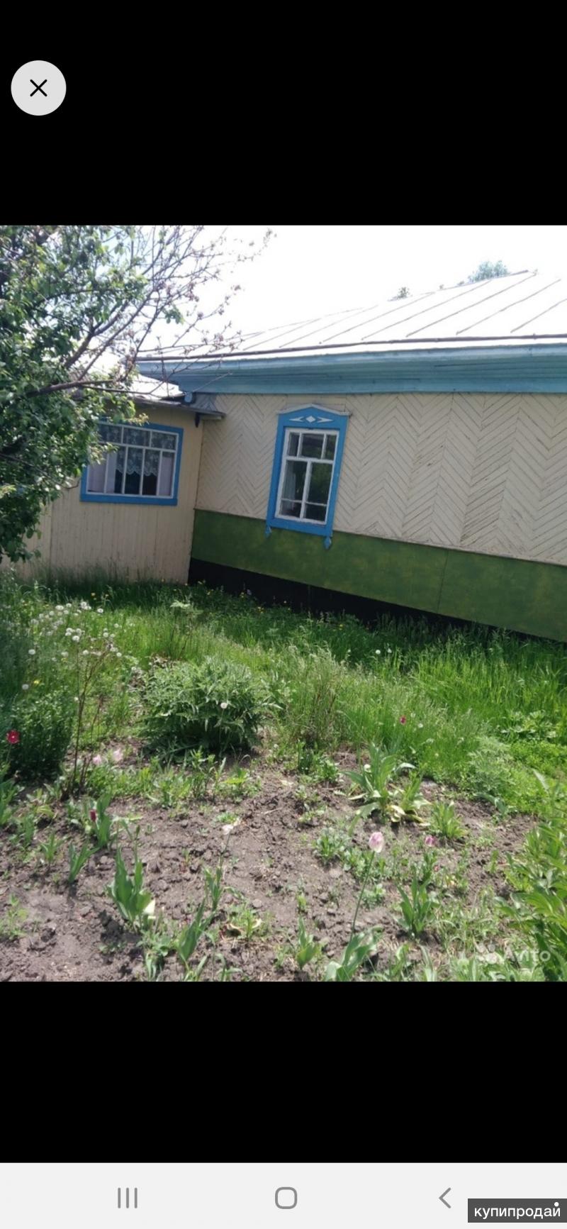 Новобураново алтайский край погода на 10. Село Новобураново.