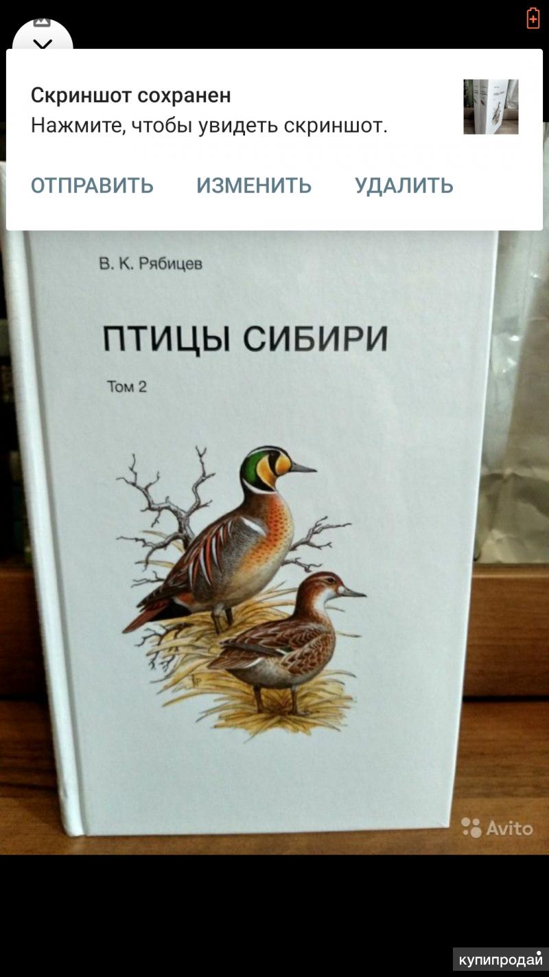 Определитель птиц. Определитель птиц Сибири. Определитель птицы Сибири и дальнего Востока.