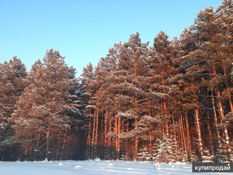 Купить Квартиру В Красногорское Алтайский Край