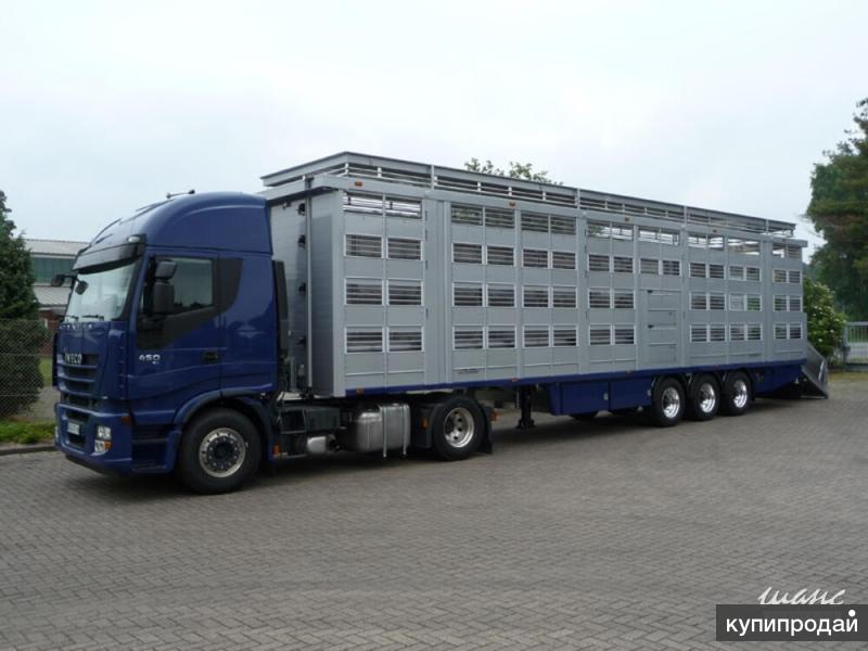 Полуприцеп скотовоз тонар-9827. Скотовозы для свиней. Скотовоз полуприцеп для крс. Полуприцеп для перевозки скота pezzaioli sba63. Трёх этажный скотовоз.