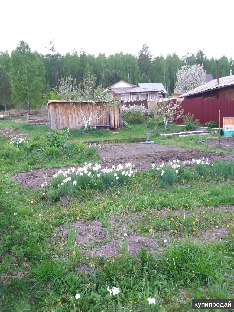 Садовый участок полевской. Зеленый Лог Полевской тракт. Зеленый Лог Полевской. Фотографии сада аметистов в Полевском 1 улицы.