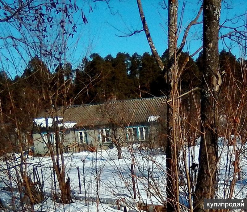 Купить Дом В Костромской Области П Островское