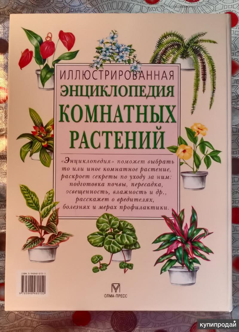 Энциклопедия комнатных растений Карин свартстоем