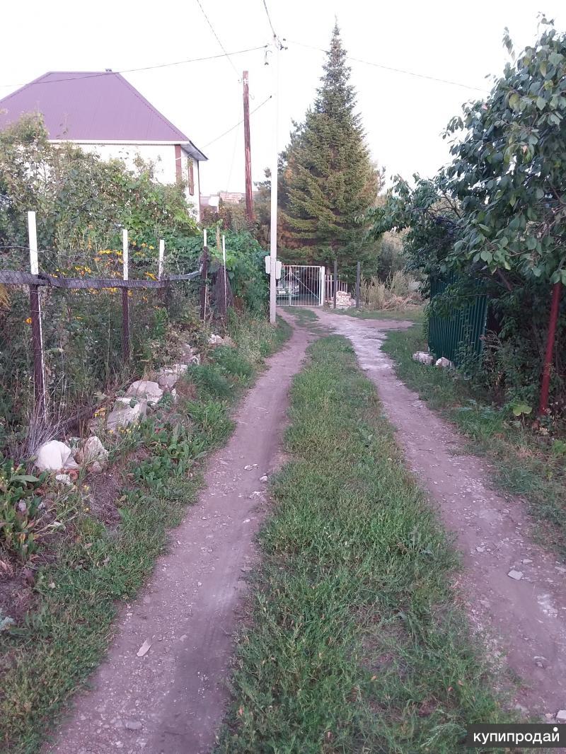 Снт озерки, 65. Озерки садовая. Аптека апрель на комендантском проспекте. Коллективный сад озëрки. Аптека озерки маркс проспект ленина 55.